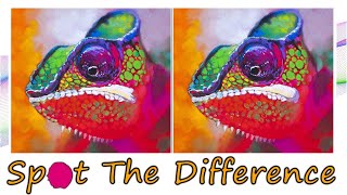 Spot The Differences Game - V-296 - Spot 3 differences between two pictures