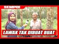 Lawak tak dibuatbuat temuramah dengan penoreh getah