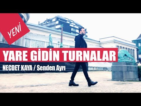 Necdet Kaya - Yare Gidin Turnalar (Official Audio) YENİ!!