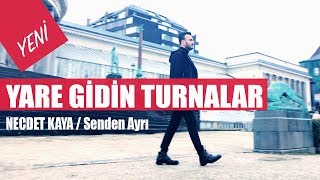 Necdet Kaya - Yare Gidin Turnalar Official Audio Yeni̇