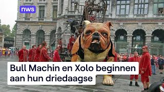 Reuzenhonden Van Royal De Luxe Op Stap In Antwerpen