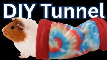 DIY Guinea Pig Tunnel - Easy Sewing Tutorial for Fleece Guinea Pig Hidey!
