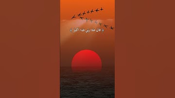 فلما جن عليه الليل رأي كوكبا | ياسر الدوسري | حالات واتس | سورة الأنعام | تلاوه نادره | تلاوه خاشعه