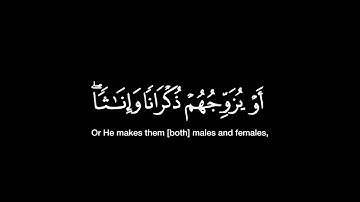 لله ملك السموات والأرض/رعد الكردي / ماتيسر من سورة الشورى/شاشة سوداء