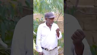 ምሉእ ጥዕና ይሃብካ ኣያ #hdmonanebarit #habesha #hdmonashow