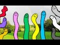 Learn colors from wiggly worms