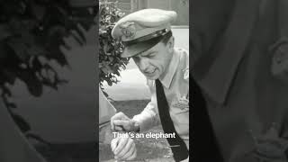 The Andy Griffith Show: Season 3 Episode 5 “The Cow Thief” anyone has an elephant gun