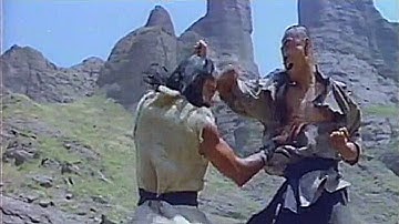 映画「嵩山少林寺」を１分で紹介（ｽﾅｯﾌﾟ写真）