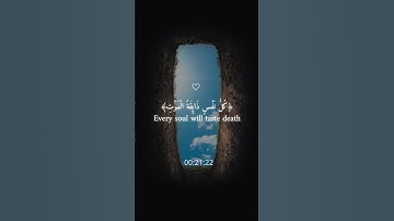 عبد الرحمن مسعد (كل نفس ذآئقة الموت)سورة العنكبوت راحة نفسية والطمأنينة #المصحف #راحة_نفسية #لايك