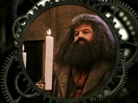 Lets Play Harry potter DVD Game Wizarding world part 4:Death Eater search potions apparation order