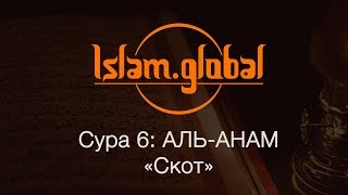 Сура 6: "Аль-Анам" (Скот)