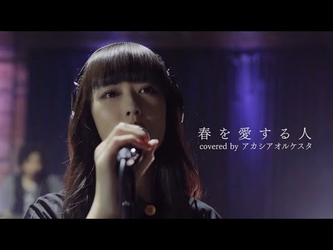 春を愛する人 / GLAY (Covered by アカシアオルケスタ）