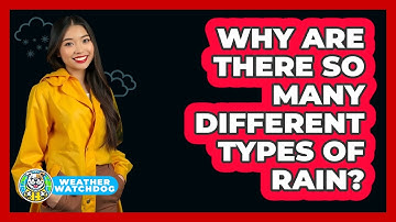Why Are There So Many Different Types Of Rain? - Weather Watchdog