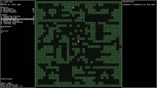 Rift Wizard 2: Improvisor run 17-1.