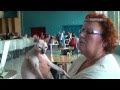 Don Sphynx:  international Cat Show Ostrava (August 2010) II の動画、YouTube動画。