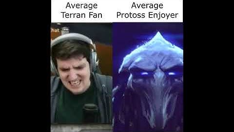 Average Terran Fan vs Average Protoss Enjoyer