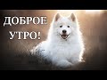 Красивое Музыкальное Пожелание С Добрым Утром! Открытки с добрым утром! Доброе утро хорошего дня!