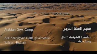 Arabian Oryx Camp /مخم المها العربية