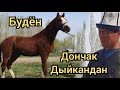Будён  Дончак  Дыйкандан арзан баада