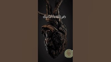 الشيخ مشاري العفاسي - سورة البقرة - الآية (74)