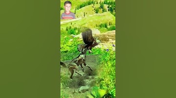 Quick Fox Vs Wild Life Eagle
