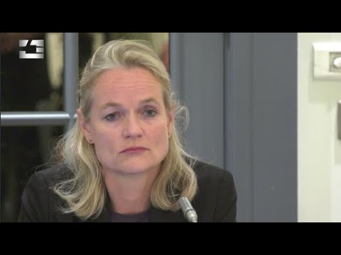 „ოცნების“ გადაწყვეტილებამ სარგებელი მოუტანა მხოლოდ კრემლს, ნდობა დაკარგულია - ვიოლა ფონ კრამონი