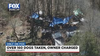 More than 100 dogs rescued from poor living conditions in Pickens County