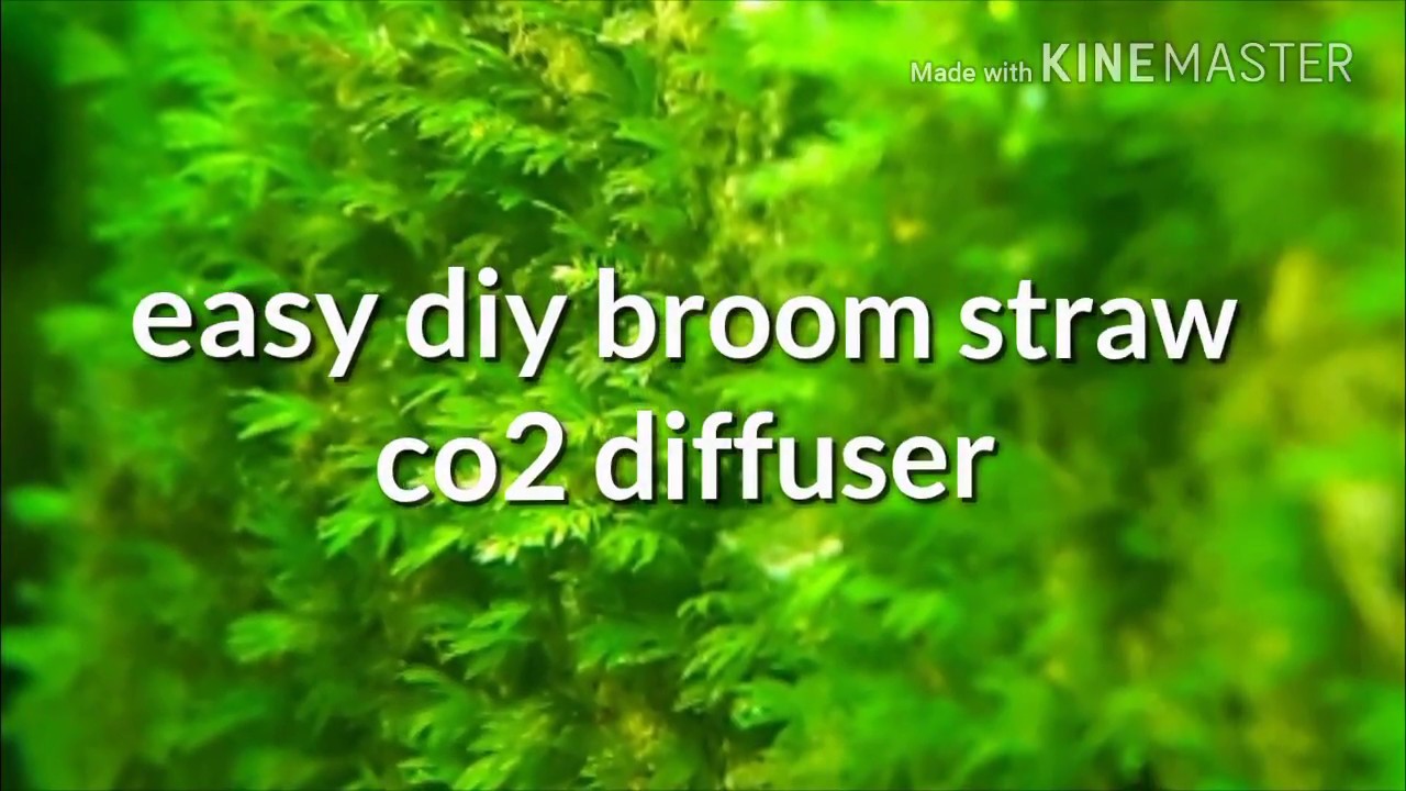 best diffuser for DIY CO2 Aqua adventure YouTube