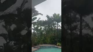 HURRICANE IAN! St. Petersburg fl