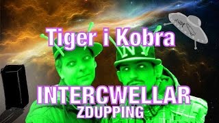 Tiger i Kobra INTERCWELLAR - ZDUPPING