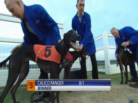 2017 Mandy Mccarthy Youngsters T5 Calico Ranger Bags Racing 2017 Mandy Mccarthy Youngsters T5 Calico Ranger Bags Racing