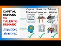 Capital humanos vs Talento humano vs Recursos humanos