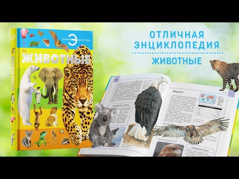 Книга Большая энциклопедия для детей, школьников Животные для чтения, с иллюстрациями