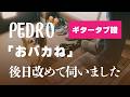 PEDRO - おバカね ギタータブ譜