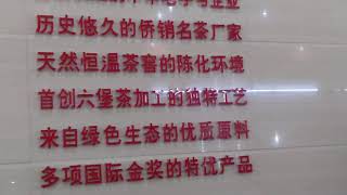 廣西梧州三鶴六堡茶廠（一）190917（Nokia 8.1 audio ozo)