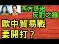 羅家聰：西方築起「反對之牆」 歐中貿易戰要開打？ #信燕訪談