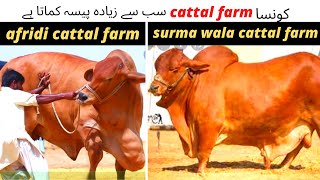 afridi vs surmawala cattal farm || کونسا cattal farmسب سے زیادہ پیسہ کماتا ہے | official world