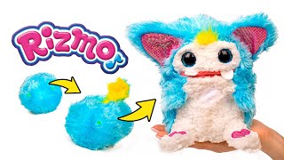 Rizmo - L'alieno più adorabile mai visto! 