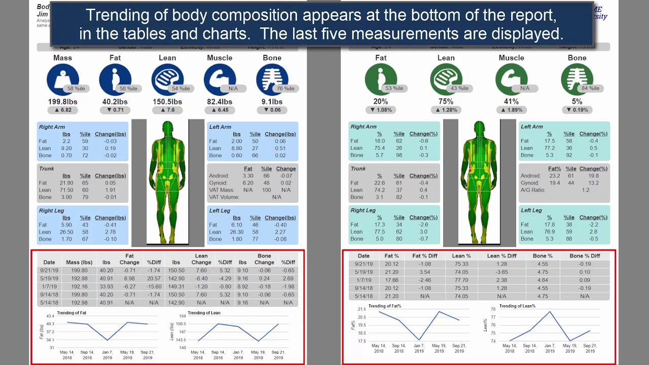 DXA scan results explained