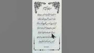 SURAH AT-TIN (سورة التين) 🤍 Egzon Ibrahimi ✨#egzonibrahimi #surahattin