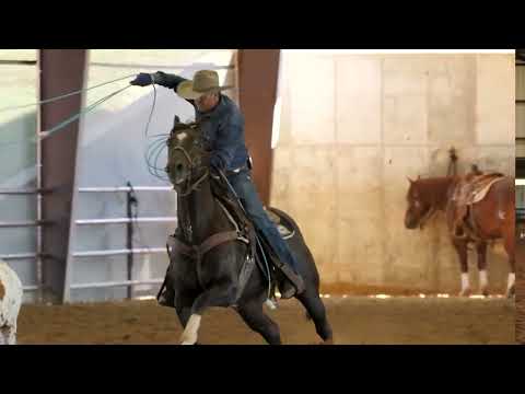 Tuning a Ratey Head Horse — Fixing Shoulder Problems in the Head Horse