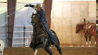 Tuning a Ratey Head Horse screenshot 5