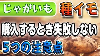 #4.【じゃがいもの種イモ】購入するとき失敗しない５つの注意点！【家庭菜園】土作り→【フカフカにするために3回耕します】