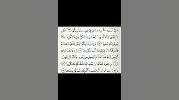 سورة البقرة ٤٩-٥٣ #قرآن
