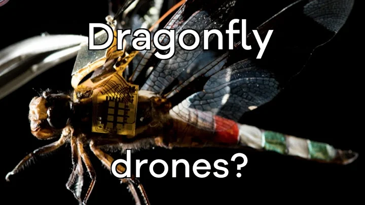 Living dragonfly drones take flight - BBC Click
