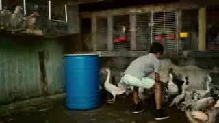 Luis Fonsi - Desbacito Ft. Daddy Yankee