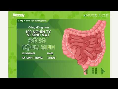 Thực Phẩm Bảo Vệ Sức Khỏe Đường Ruột Nutrilite Probiotic