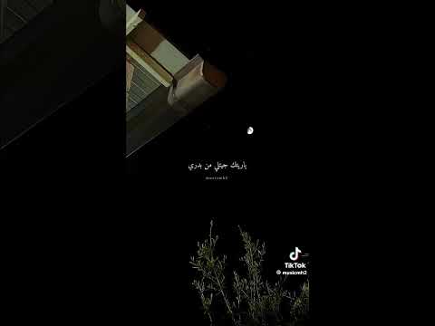 ياريت يكمل معاك عمري