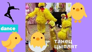 Танец цыплят