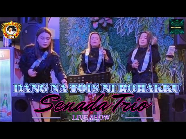 DANG NA TOIS NI ROHAKKU | SENADA TRIO TERBARU (Lagu Batak Sedih) class=